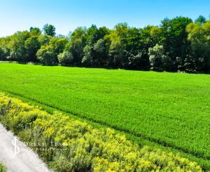 Investičný pozemok 6000m2 Banská Bystrica - Iliaš