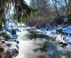 Zrekonštruovaný rodinný dom s terasou v obci Svätý Anton