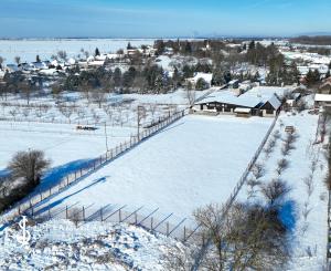Zabehnutá menšia farma s pozemkom 3800m2 Želiezovce