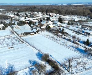 Zabehnutá menšia farma s pozemkom 3800m2 Želiezovce