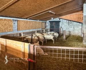 Zabehnutá menšia farma s pozemkom 3800m2 Želiezovce