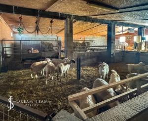 Zabehnutá menšia farma s pozemkom 3800m2 Želiezovce