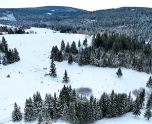 Pozemok so stavebným povolením 22200m2, Látky okr. Detva