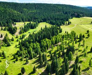 Pozemok so stavebným povolením 22200m2, Látky okr. Detva