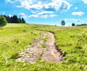 Pozemok so stavebným povolením 22200m2, Látky okr. Detva