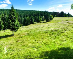 Pozemok so stavebným povolením 22200m2, Látky okr. Detva