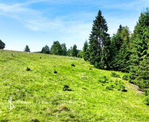 Pozemok so stavebným povolením 22200m2, Látky okr. Detva