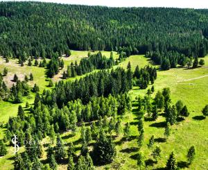 Pozemok so stavebným povolením 22200m2, Látky okr. Detva