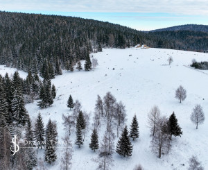 Pozemok so stavebným povolením 22200m2, Látky okr. Detva