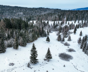 Pozemok so stavebným povolením 22200m2, Látky okr. Detva