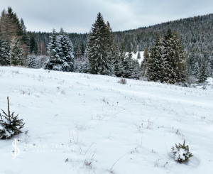 Pozemok so stavebným povolením 22200m2, Látky okr. Detva
