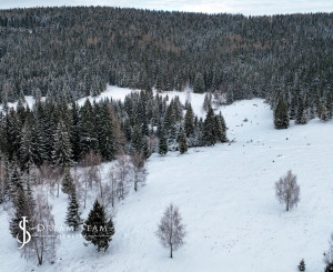 Pozemok so stavebným povolením 22200m2, Látky okr. Detva