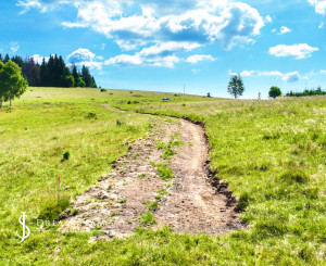 Pozemok so stavebným povolením 22200m2, Látky okr. Detva