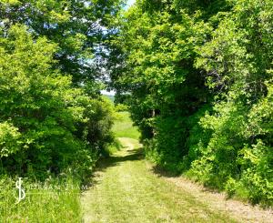 Rovinatý, slnečný pozemok s možnosťou stavby, Banská Belá