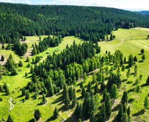 Pozemok so stavebným povolením 22200m2, Látky okr. Detva