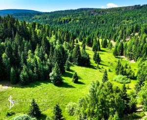 Pozemok so stavebným povolením 22200m2, Látky okr. Detva