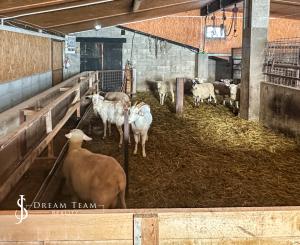 Zabehnutá menšia farma s pozemkom 3800m2 Želiezovce