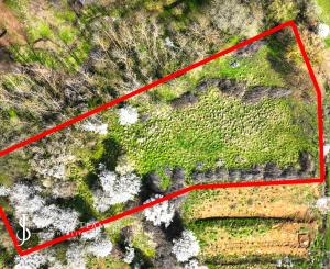 Slnečný stavebný pozemok 3500m2 Hontianske Tesáre