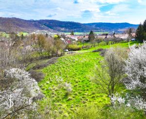 Slnečný stavebný pozemok 3500m2 Hontianske Tesáre