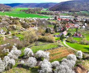 Slnečný stavebný pozemok 3500m2 Hontianske Tesáre