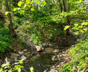 Pozemok so sieťami a možnosťou stavby 333m2, Pukanec