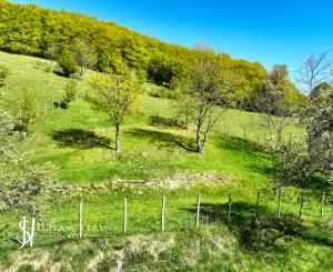 Krásny pozemok pre výstavbu chaty - chalupy 1281m2, Uhliská