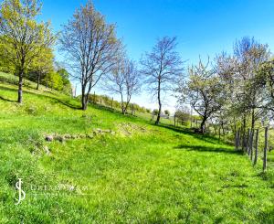 Krásny pozemok pre výstavbu chaty - chalupy 1281m2, Uhliská