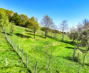 Krásny pozemok pre výstavbu chaty - chalupy 1281m2, Uhliská
