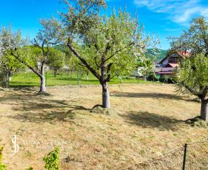 Slnečný, rovinatý pozemok s možnosťou stavby 1565m², Voznica