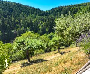 Výnimočný apartmánový areál nad tajchom Klinger, Banská Štiavnica