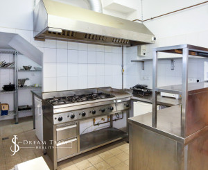 Penzión - Rodinné sídlo s pozemkom 8 753m2, Dudince