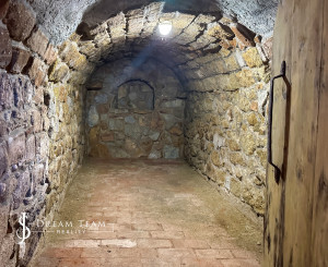 Penzión - Rodinné sídlo s pozemkom 8 753m2, Dudince