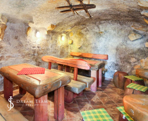 Penzión - Rodinné sídlo s pozemkom 8 753m2, Dudince