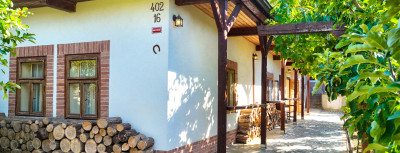Dva rodinné domy, ovocná záhrada 300m2, Trávnica – Podhájska