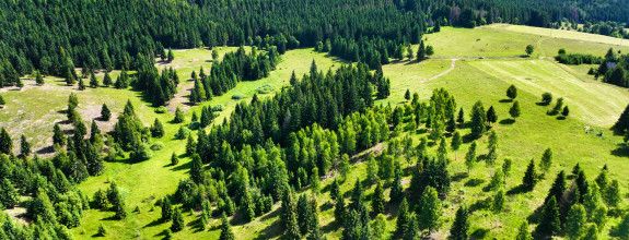 Stavebný pozemok 2.2ha v krásnom prostredí, Látky okr. Detva