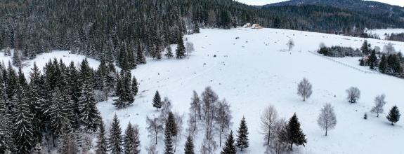 Pozemok so stavebným povolením 22200m2, Látky okr. Detva