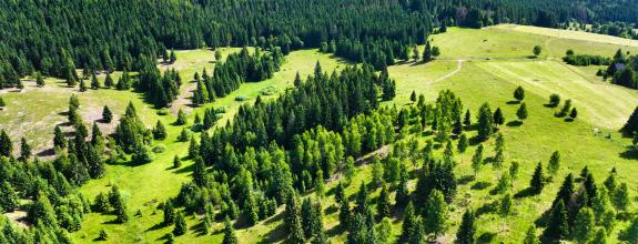 Pozemok so stavebným povolením 22200m2, Látky okr. Detva