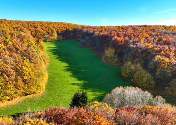 Slnečný, rekreačný pozemok o veľkosti 22 687m2, Krupina