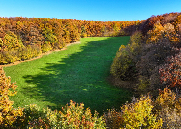 Slnečný, rekreačný pozemok o veľkosti 22 687m2, Krupina