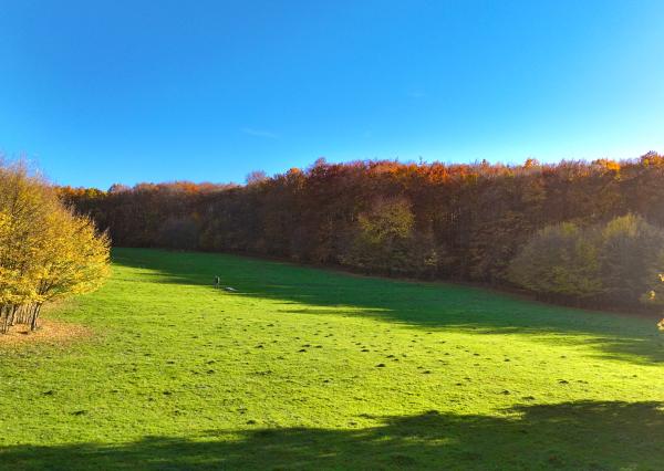 Slnečný, rekreačný pozemok o veľkosti 22 687m2, Krupina