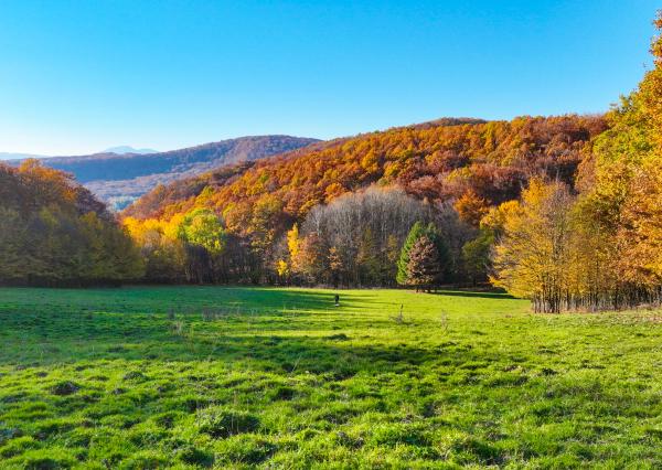 Slnečný, rekreačný pozemok o veľkosti 22 687m2, Krupina