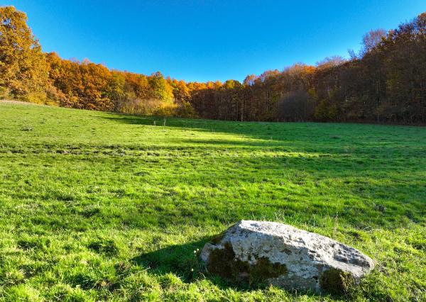 Slnečný, rekreačný pozemok o veľkosti 22 687m2, Krupina
