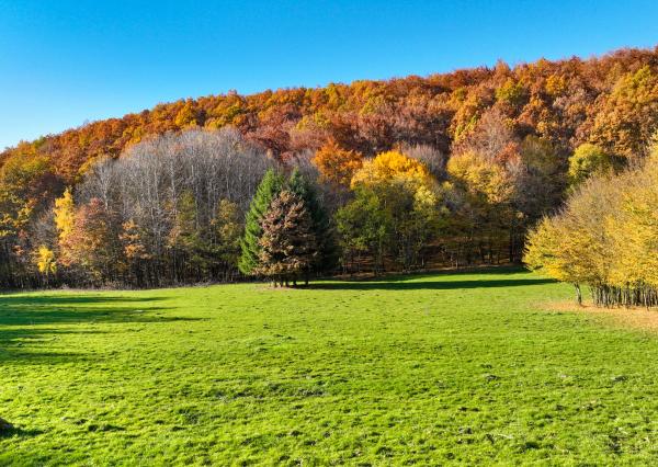 Slnečný, rekreačný pozemok o veľkosti 22 687m2, Krupina