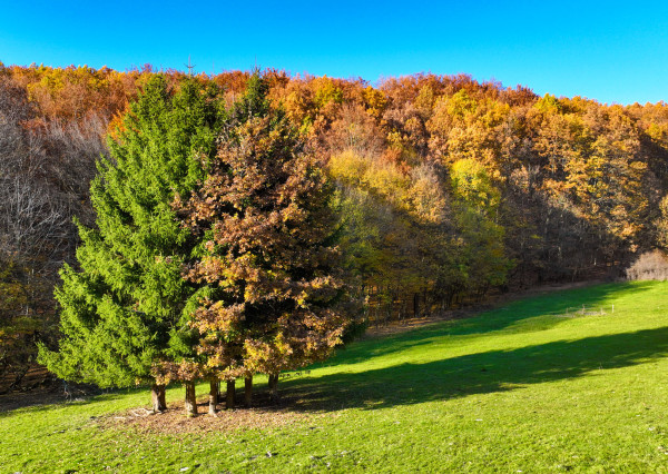 Slnečný, rekreačný pozemok o veľkosti 22 687m2, Krupina