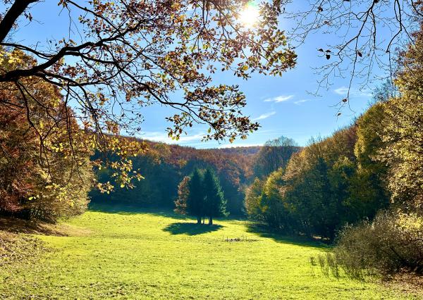 Slnečný, rekreačný pozemok o veľkosti 22 687m2, Krupina