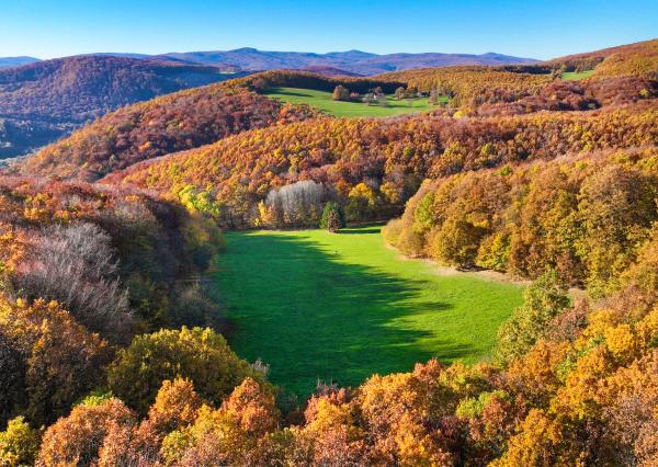 Slnečný, rekreačný pozemok o veľkosti 22 687m2, Krupina