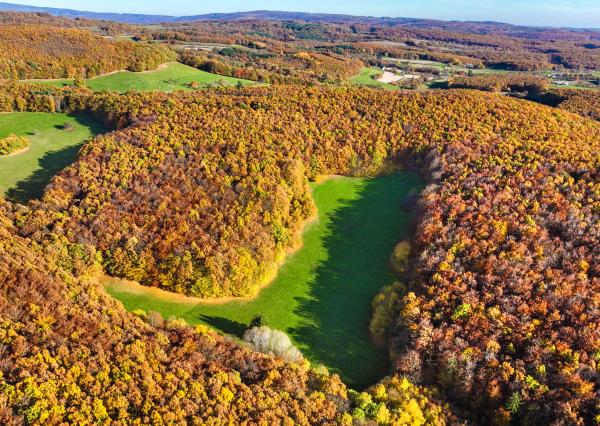 Slnečný, rekreačný pozemok o veľkosti 22 687m2, Krupina