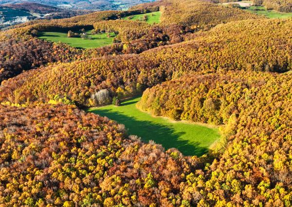 Slnečný, rekreačný pozemok o veľkosti 22 687m2, Krupina