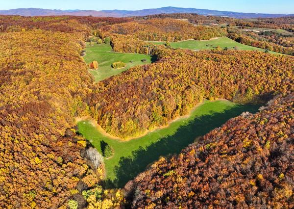 Slnečný, rekreačný pozemok o veľkosti 22 687m2, Krupina