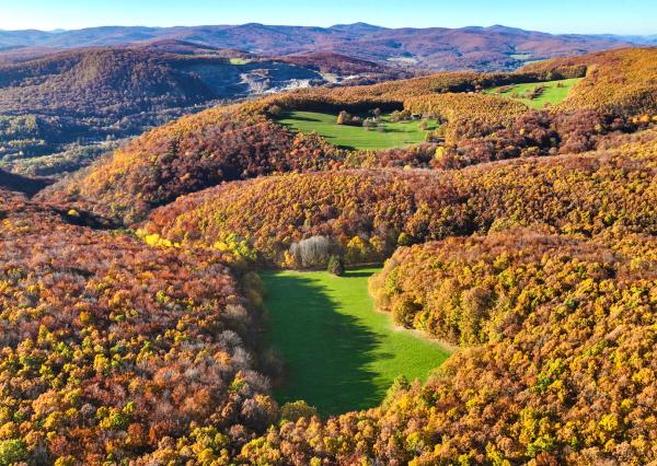 Slnečný, rekreačný pozemok o veľkosti 22 687m2, Krupina